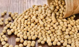 酥麻豆,舌尖上的美味诱惑